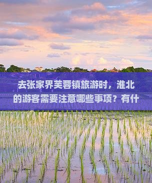 去张家界芙蓉镇旅游时，淮北的游客需要注意哪些事项？有什么特色小吃值得品尝？