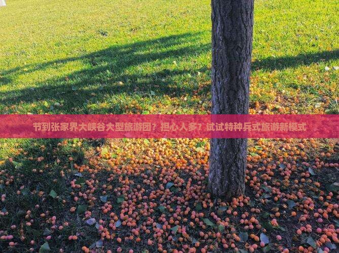 节到张家界大峡谷大型旅游团？担心人多？试试特种兵式旅游新模式