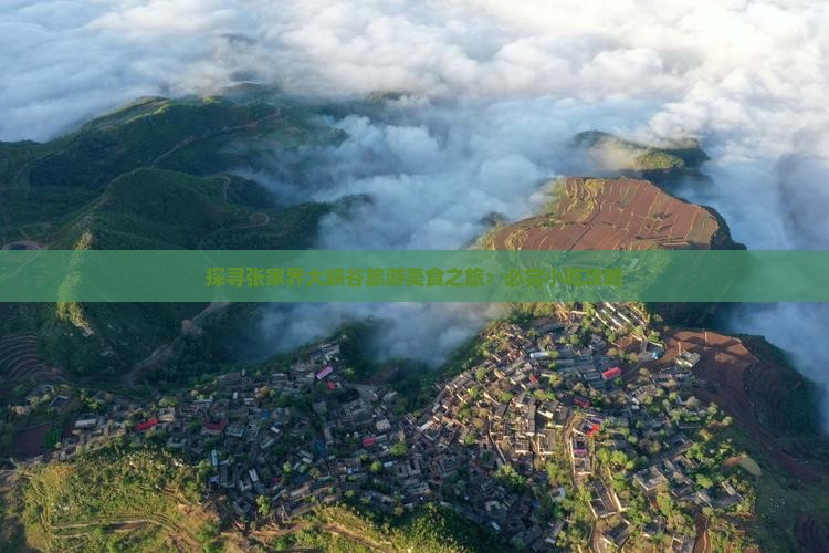 探寻张家界大峡谷旅游美食之旅：必尝小吃攻略
