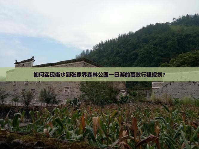 如何实现衡水到张家界森林公园一日游的高效行程规划？