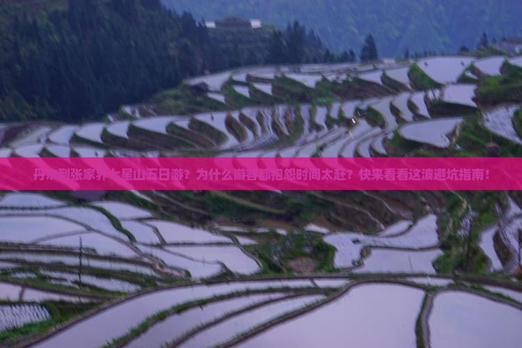 丹东到张家界七星山五日游?为什么游客都抱怨时间太赶?快来看看这波避坑指南! 丹东到张家界七星山五日游?为什么游客都抱怨时间太赶?快来看看这波避坑指南!