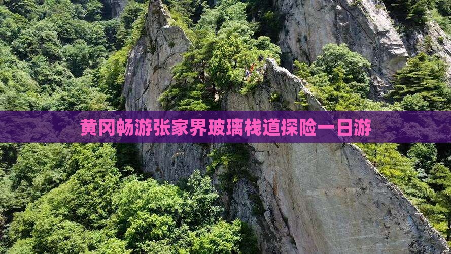 黄冈畅游张家界玻璃栈道探险一日游