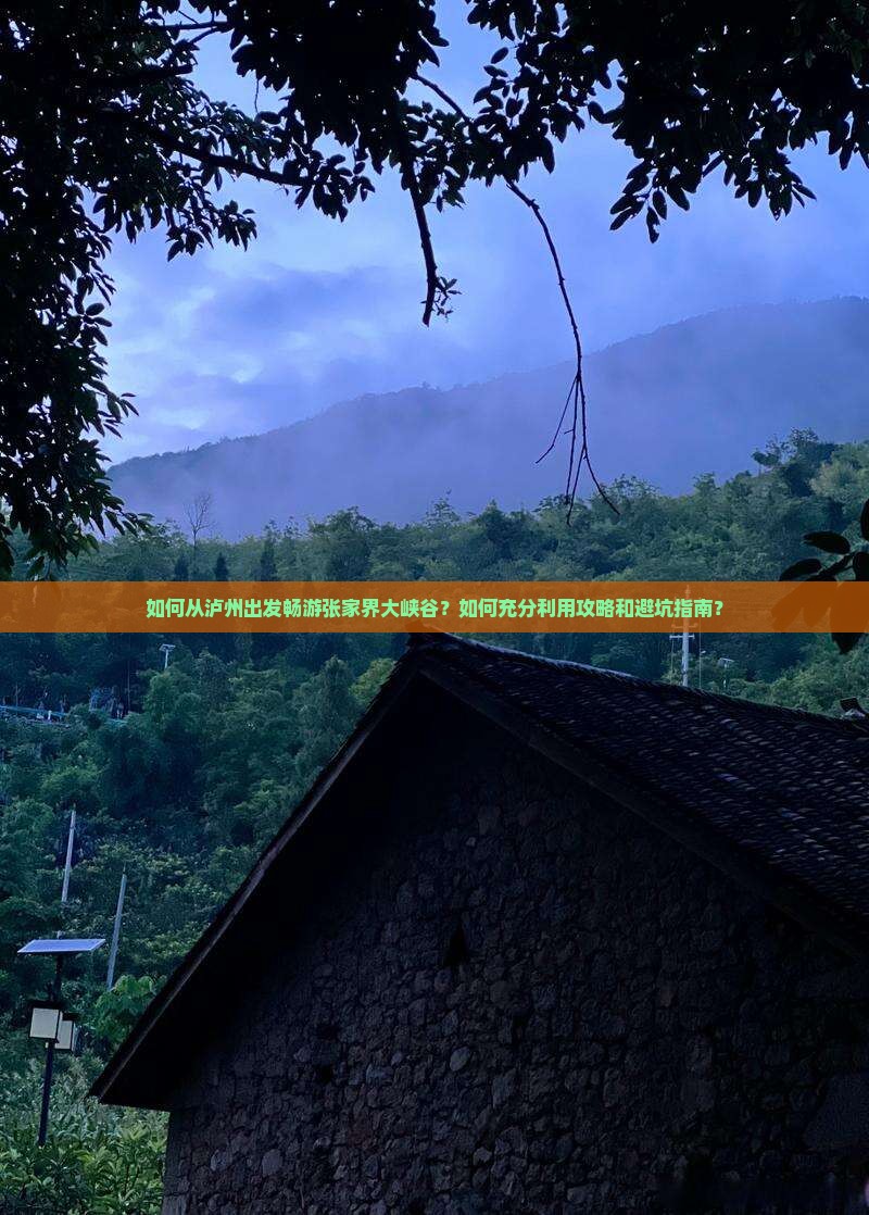 如何从泸州出发畅游张家界大峡谷？如何充分利用攻略和避坑指南？