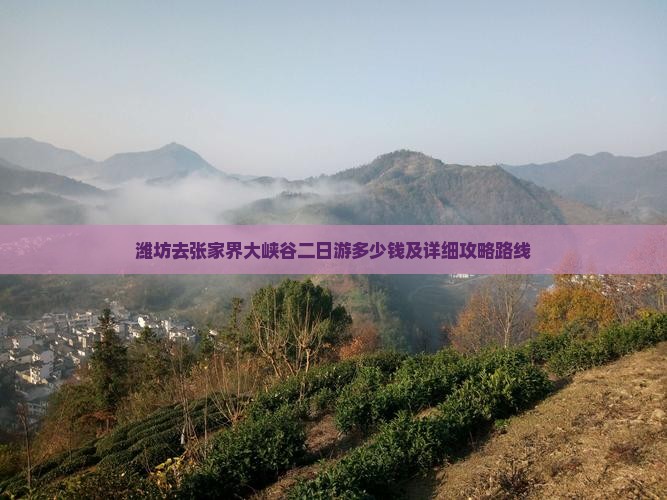 潍坊去张家界大峡谷二日游多少钱及详细攻略路线