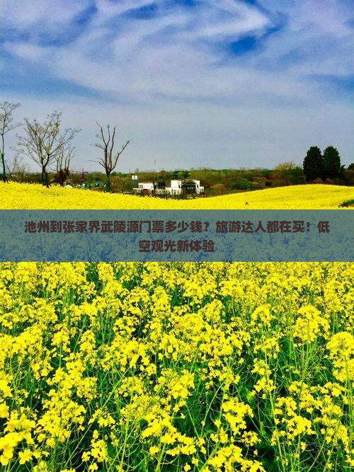 池州到张家界武陵源门票多少钱？旅游达人都在买！低空观光新体验