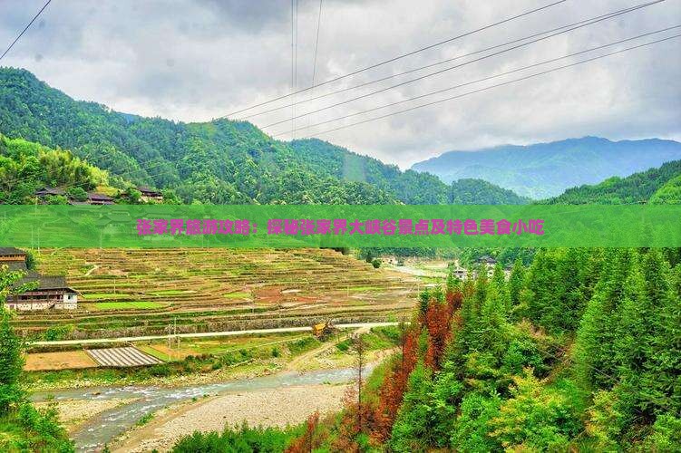 张家界旅游攻略：探秘张家界大峡谷景点及特色美食小吃
