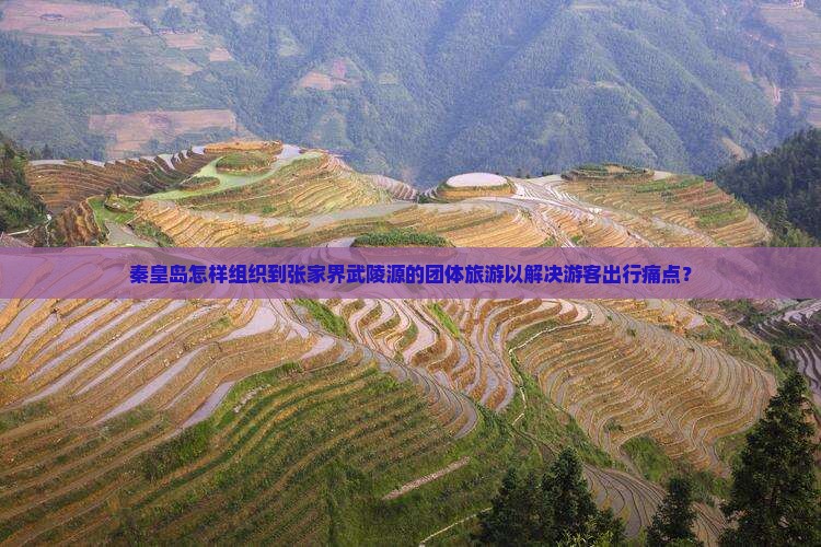 秦皇岛怎样组织到张家界武陵源的团体旅游以解决游客出行痛点？