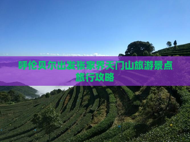 呼伦贝尔出发张家界天门山旅游景点旅行攻略