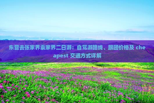 东营去张家界袁家界二日游：自驾游路线、跟团价格及 cheapest 交通方式详解