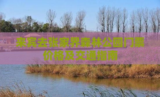 来宾去张家界森林公园门票价格及交通指南