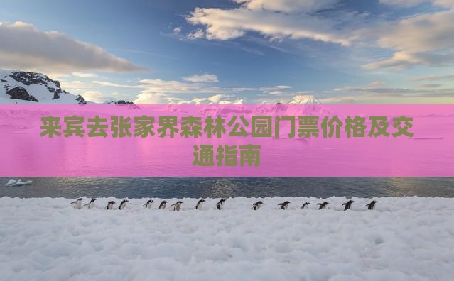 来宾去张家界森林公园门票价格及交通指南