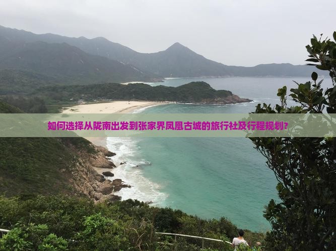 如何选择从陇南出发到张家界凤凰古城的旅行社及行程规划？