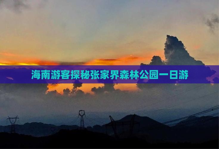 海南游客探秘张家界森林公园一日游