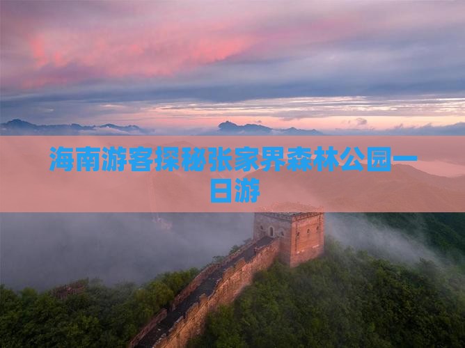 海南游客探秘张家界森林公园一日游