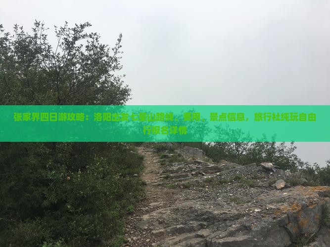 张家界四日游攻略：洛阳出发七星山路线、费用、景点信息，旅行社纯玩自由行报名详情