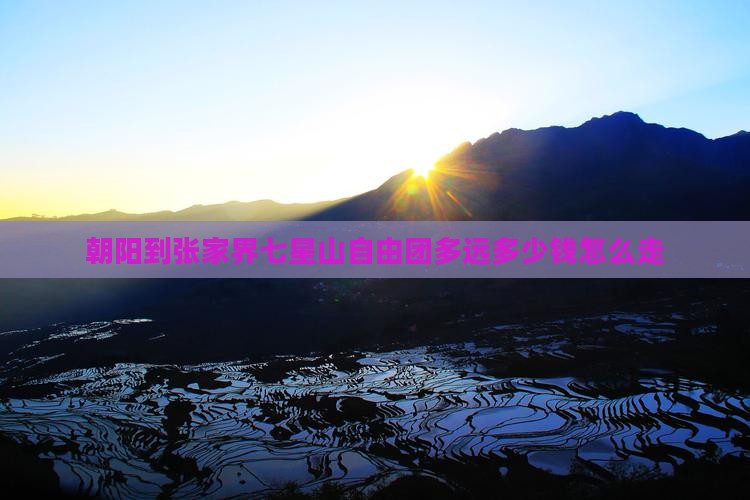 朝阳到张家界七星山自由团多远多少钱怎么走