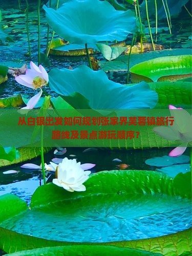 从白银出发如何规划张家界芙蓉镇旅行路线及景点游玩顺序? 从白银出发如何规划张家界芙蓉镇旅行路线及景点游玩顺序?