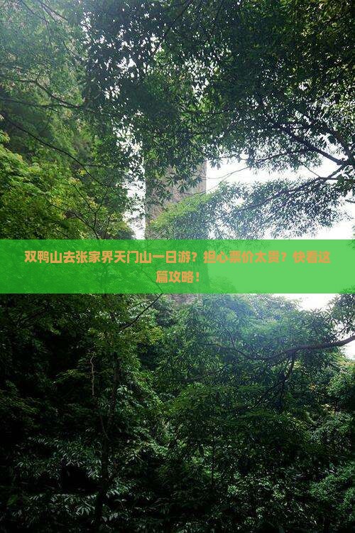 双鸭山去张家界天门山一日游?担心票价太贵?快看这篇攻略! 双鸭山去张家界天门山一日游?担心票价太贵?快看这篇攻略!