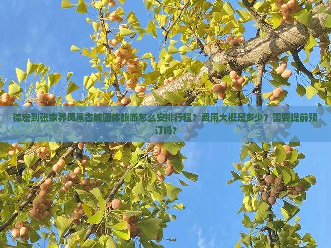德宏到张家界凤凰古城团体旅游怎么安排行程？费用大概是多少？需要提前预订吗？