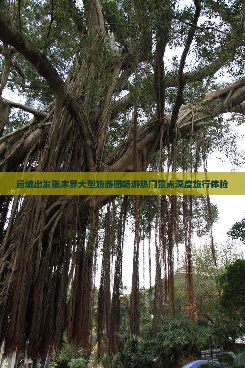 运城出发张家界大型旅游团畅游热门景点深度旅行体验