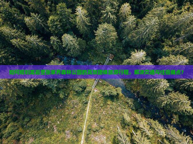 如何规划龙岩至张家界森林公园的高效团体旅游行程，解决交通与住宿痛点？