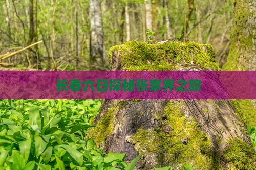 长春六日探秘张家界之旅