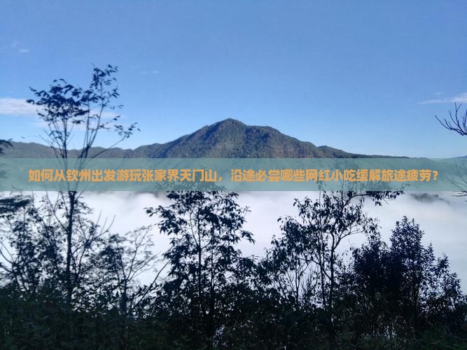 如何从钦州出发游玩张家界天门山，沿途必尝哪些网红小吃缓解旅途疲劳？