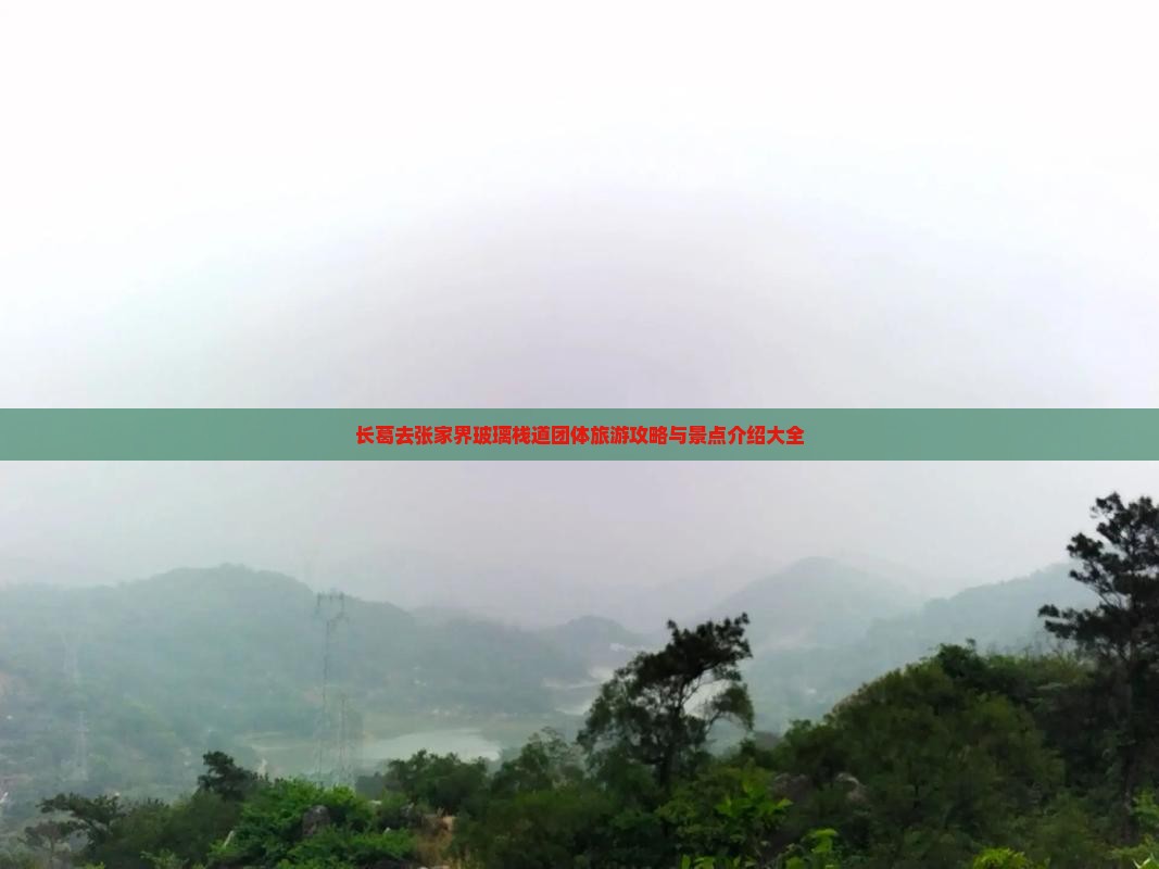 长葛去张家界玻璃栈道团体旅游攻略与景点介绍大全