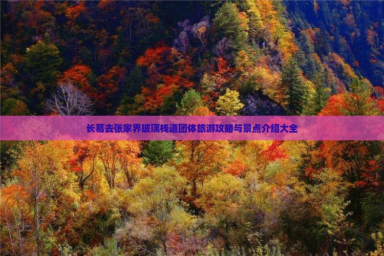 长葛去张家界玻璃栈道团体旅游攻略与景点介绍大全