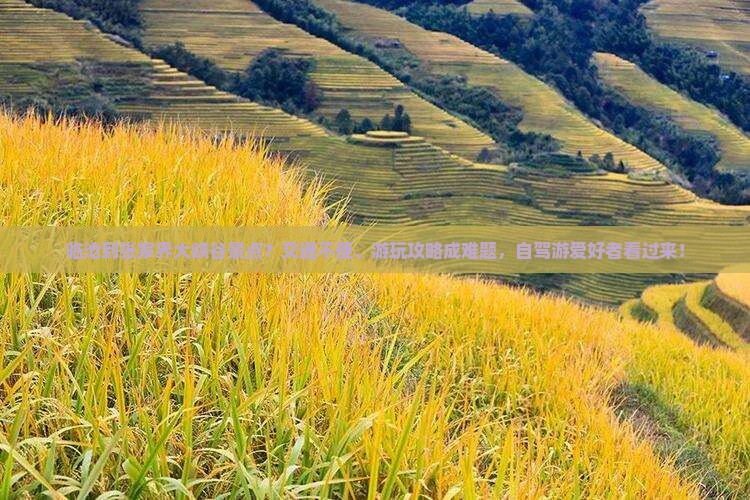 临沧到张家界大峡谷景点？交通不便、游玩攻略成难题，自驾游爱好者看过来！