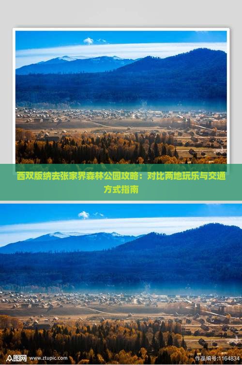 西双版纳去张家界森林公园攻略：对比两地玩乐与交通方式指南