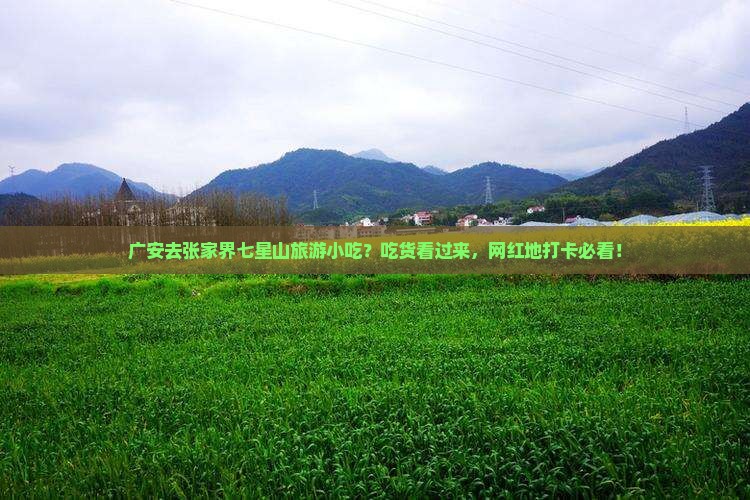 广安去张家界七星山旅游小吃？吃货看过来，网红地打卡必看！