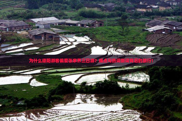 为什么德阳游客偏爱张家界三日游？痛点与热词新词背后的旅行！