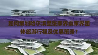 如何策划哈尔滨至张家界袁家界团体旅游行程及优惠策略？