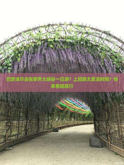 巴彦淖尔去张家界大峡谷一日游？上班族太累没时间？快来看轻旅行