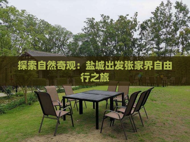 探索自然奇观：盐城出发张家界自由行之旅