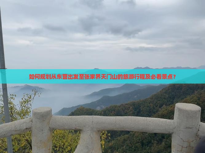 如何规划从东营出发至张家界天门山的旅游行程及必看景点？