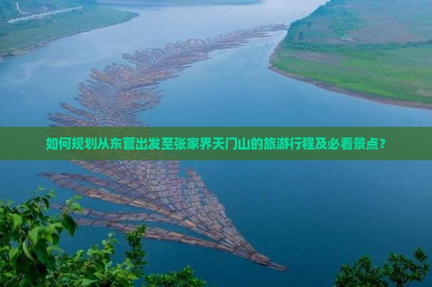 如何规划从东营出发至张家界天门山的旅游行程及必看景点？