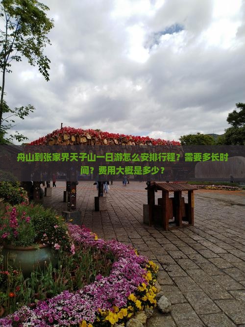 舟山到张家界天子山一日游怎么安排行程？需要多长时间？费用大概是多少？