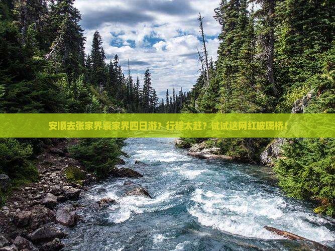 安顺去张家界袁家界四日游？行程太赶？试试这网红玻璃桥！