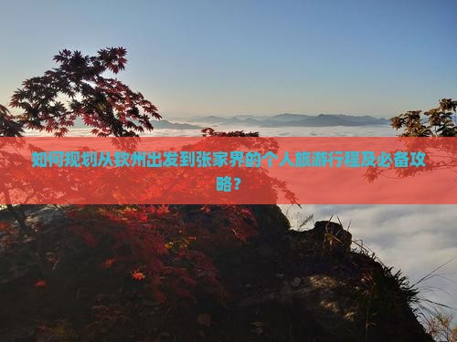 如何规划从钦州出发到张家界的个人旅游行程及必备攻略？