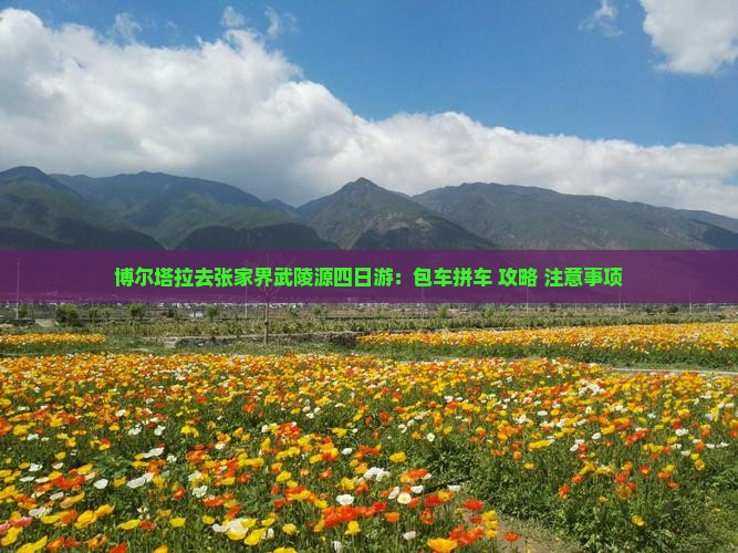 博尔塔拉去张家界武陵源四日游：包车拼车+攻略+注意事项