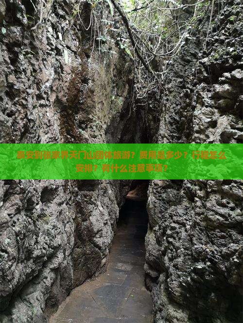 泰安到张家界天门山团体旅游？费用是多少？行程怎么安排？有什么注意事项？