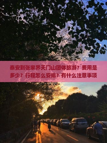 泰安到张家界天门山团体旅游？费用是多少？行程怎么安排？有什么注意事项？
