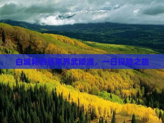 白城畅游张家界武陵源，一日探险之旅