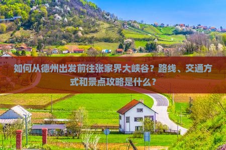 如何从德州出发前往张家界大峡谷？路线、交通方式和景点攻略是什么？