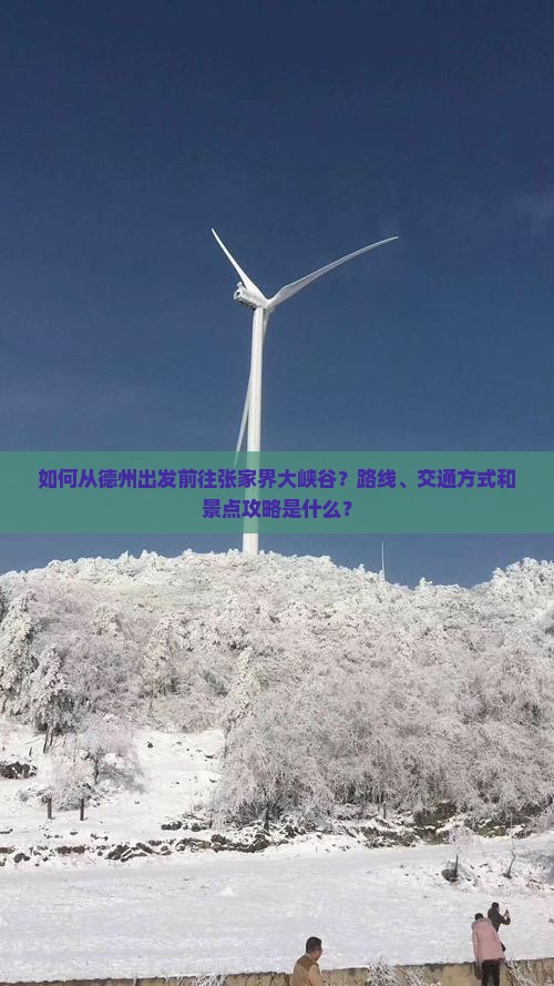 如何从德州出发前往张家界大峡谷？路线、交通方式和景点攻略是什么？