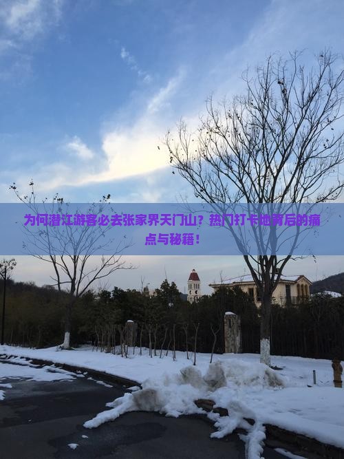 为何潜江游客必去张家界天门山？热门打卡地背后的痛点与秘籍！