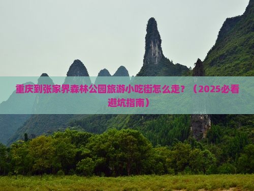 重庆到张家界森林公园旅游小吃 重庆到张家界森林公园旅游小吃