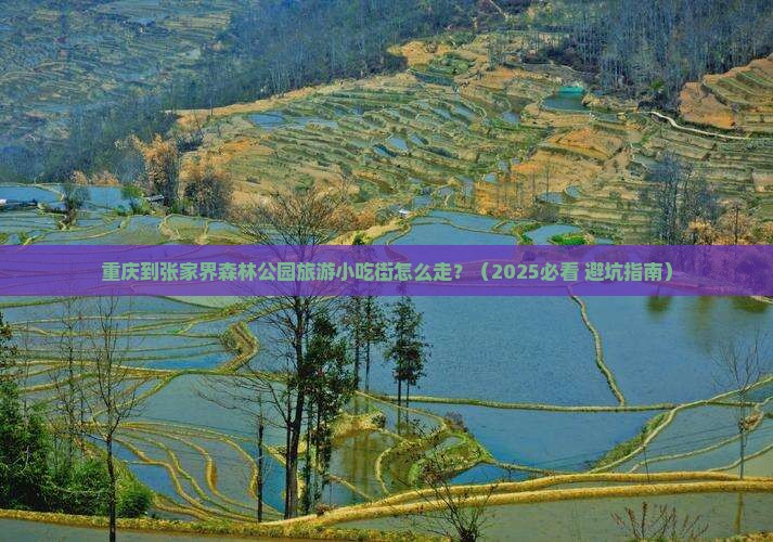 重庆到张家界森林公园旅游小吃 重庆到张家界森林公园旅游小吃